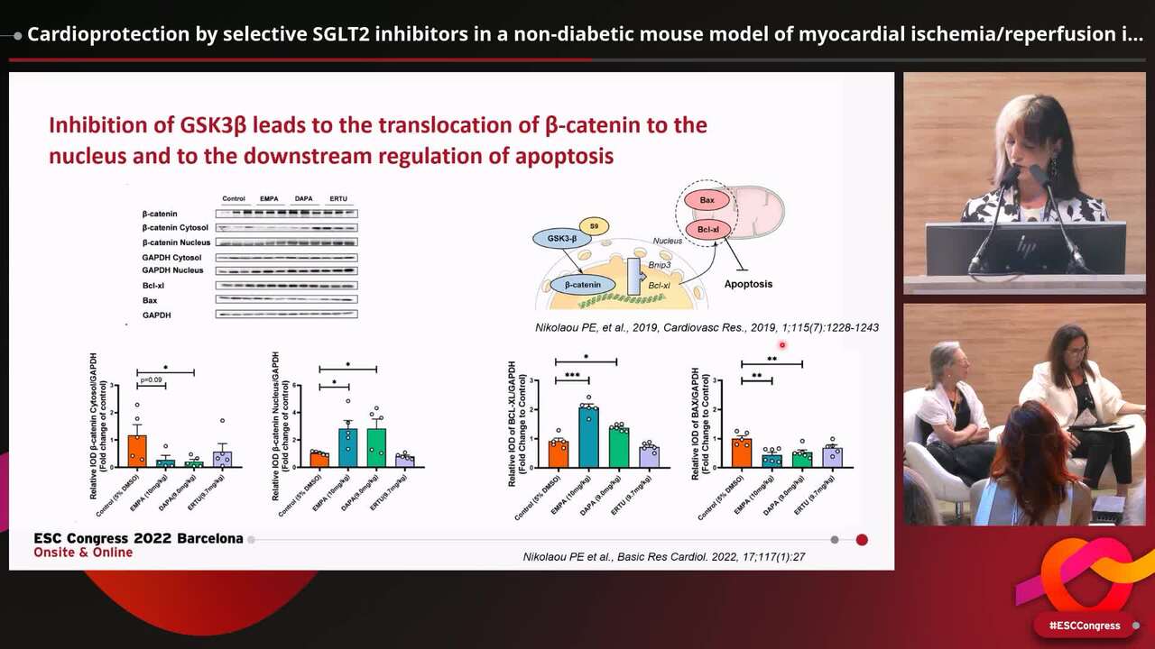 Cardioprotection by selective SGLT2 inhibitors in a non-diabetic mouse model of myocardial ischemia/reperfusion injury: a class or a drug effect?