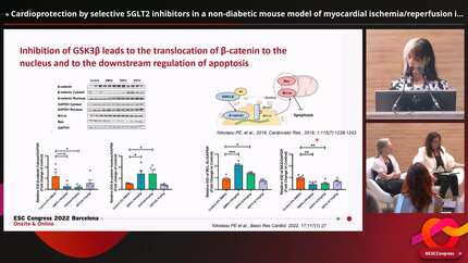 Cardioprotection by selective SGLT2 inhibitors in a non-diabetic mouse model of myocardial ischemia/reperfusion injury: a class or a drug effect?