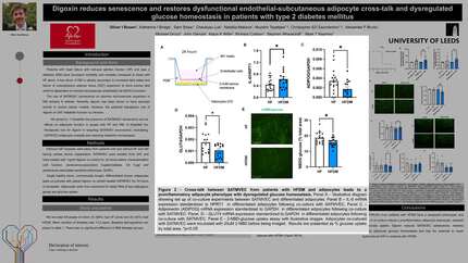 Presentation thumbnail