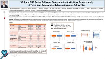 VDD and DDD pacing following transcatheter aortic valve replacement: a three-year comparative echocardiographic follow-up