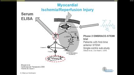 Presentation thumbnail