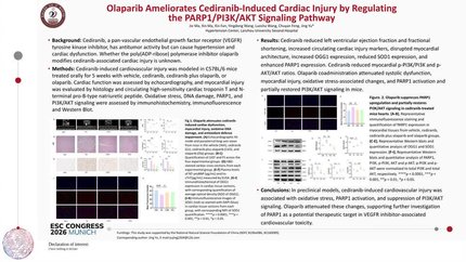 PARP1 mediates the PI3K/AKT signaling pathway through PARylation-dependent to alleviate the myocardial injury caused by Cediranib