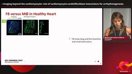 Presentation thumbnail
