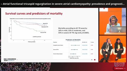 Atrial functional tricuspid regurgitation in severe atrial cardiomyopathy: prevalence and prognostic significance
