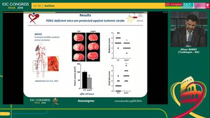 PDK1 determines collagen-dependent platelet activation and is critical to development of arterial thrombosis and ischemic stroke in vivo