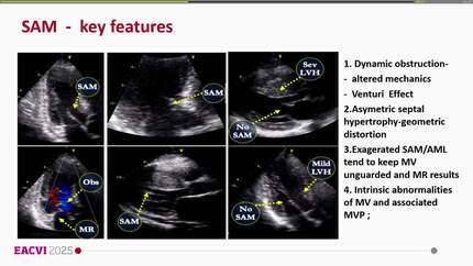 Presentation thumbnail