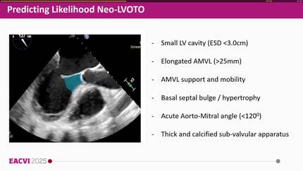 Presentation thumbnail