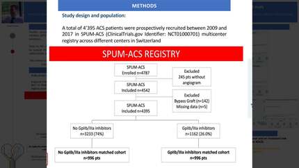 Safety and effectiveness of glycoprotein IIb/IIIa inhibitors in acute coronary syndromes: insights from the SPUM-ACS study