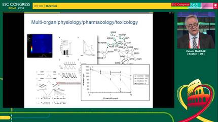 Zebrafish as a tool to identify novel therapies for human cardiovascular disease