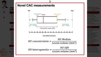 Novel lesion-level coronary artery calcium characterization from non-contrast computed tomography