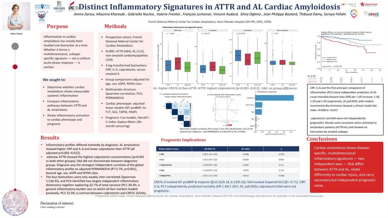 Inflammatory endotypes in cardiac amyloidosis: divergent cytokine- and neutrophil-driven pathways in AL and ATTR”