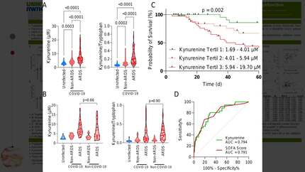 Presentation thumbnail
