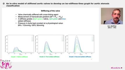 An in-vitro model of stiffened aortic valves to develop an iso-stiffness-lines graph for aortic stenosis classification