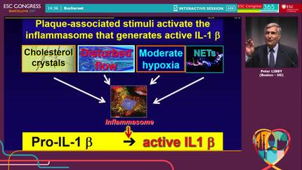 Presentation thumbnail
