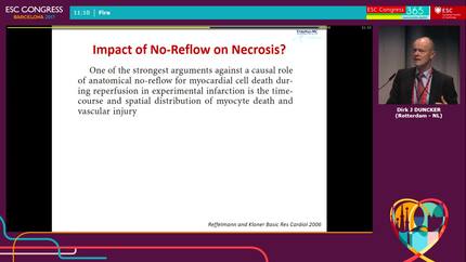 Presentation thumbnail