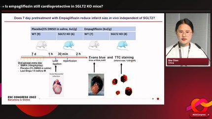 Presentation thumbnail
