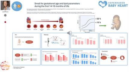 Presentation thumbnail