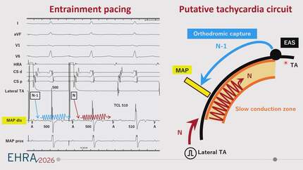 Presentation thumbnail