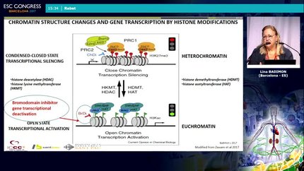 Presentation thumbnail