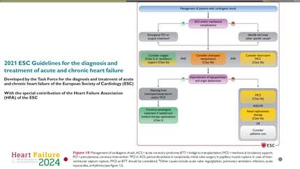 Presentation thumbnail