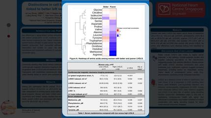 Presentation thumbnail