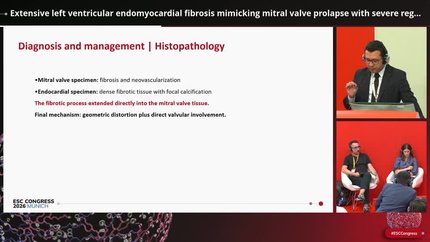 Presentation thumbnail