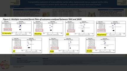 Presentation thumbnail