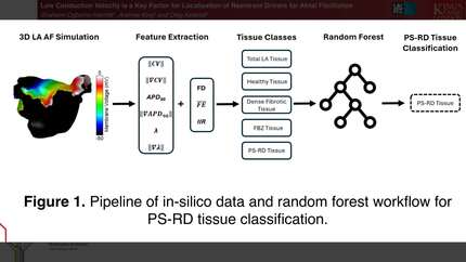 Presentation thumbnail