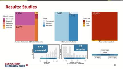 Presentation thumbnail