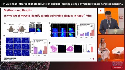 Presentation thumbnail
