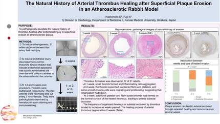 Presentation thumbnail