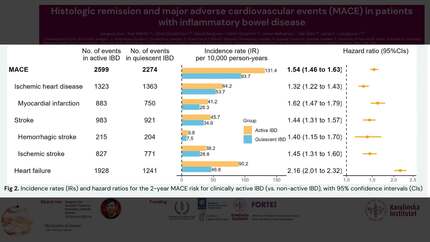 Presentation thumbnail