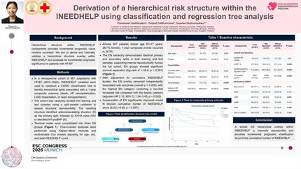 Derivation of a hierarchical risk structure within the INEEDHELP using classification and regression tree analysis