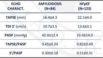Right ventricular-arterial coupling in cardiac amyloidosis: differences between true heart failure with preserved ejection fraction and mimic