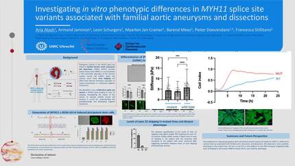 Presentation thumbnail