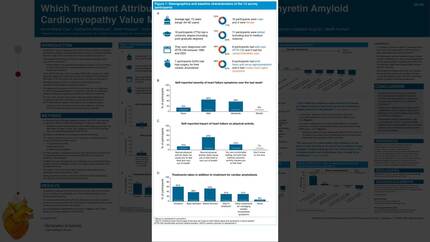 Presentation thumbnail