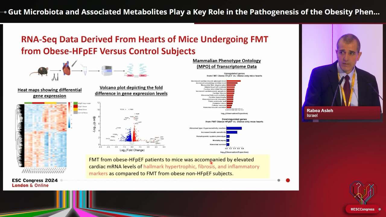 Gut Microbiota and Associated Metabolites Play a Key Role in the Pathogenesis of the Obesity Phenotype of Heart Failure With Preserved Ejection Fraction