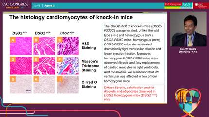 Desmoglein 2 gene mutation (DSG2-F531C) caused arrhythmogenic right ventricular cardiomyopathy in human and mice is gene dose-dependent