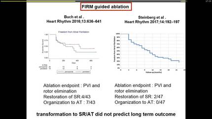 Mapping AF in AF: rotors and termination strategies.