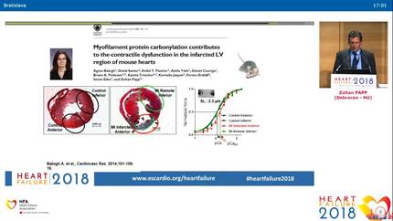 Presentation thumbnail