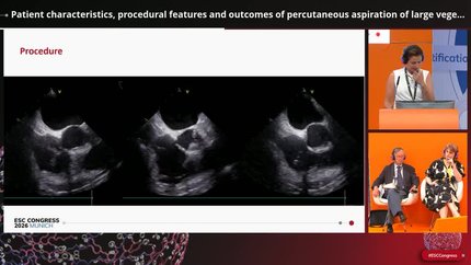 Presentation thumbnail