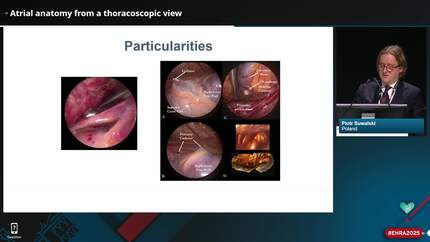 Presentation thumbnail