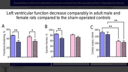 Presentation thumbnail
