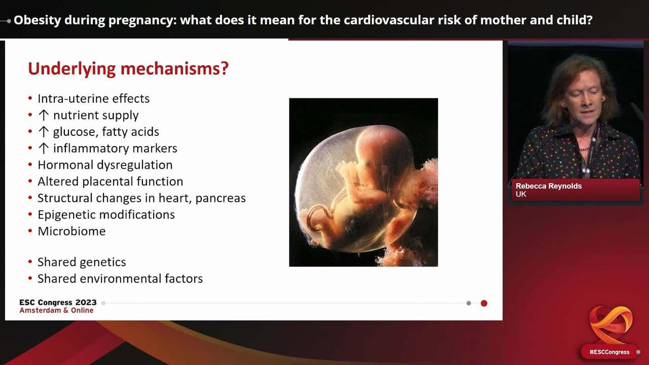 Obesity during pregnancy: what does it mean for the cardiovascular risk of mother and child?