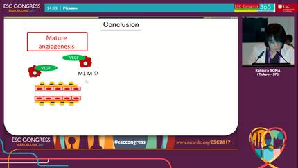 Presentation thumbnail