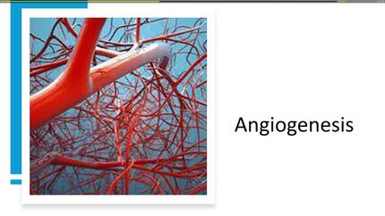 Presentation thumbnail