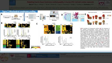 Presentation thumbnail