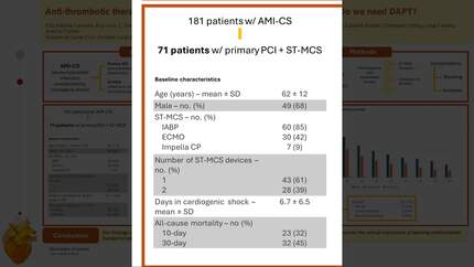 Presentation thumbnail