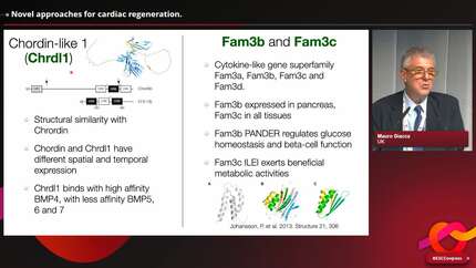 Presentation thumbnail