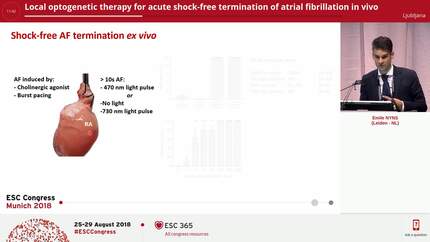 Local optogenetic therapy for acute shock-free termination of atrial fibrillation in vivo